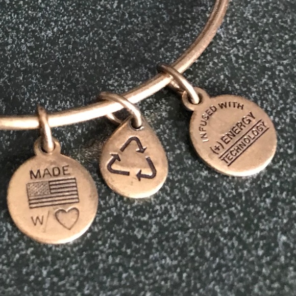 Alex and Ani Expandable Wire Bangle Bracelet 2015 - Picture 10 of 13